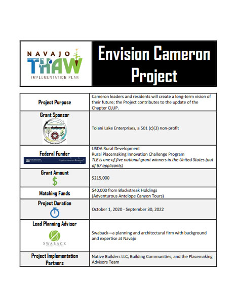 Envision-Cameron-Project-Description-One-Pager